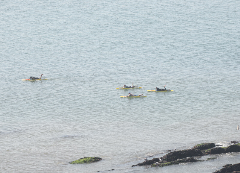 people on boards at sea